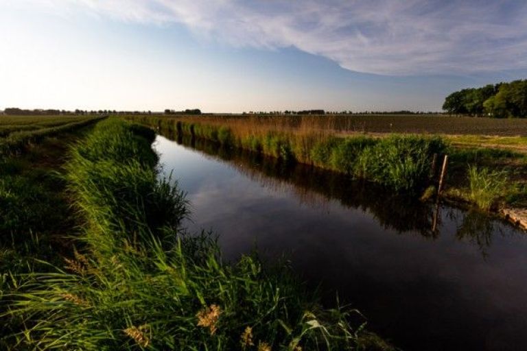 Comunicado de la Sociedad Rural Bragado sobre el estado de situación hídrica