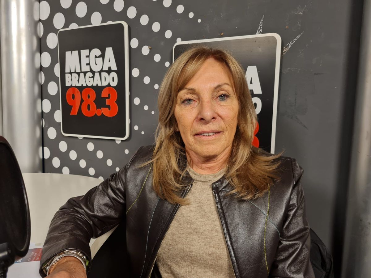 Lilián Labaqui: "sería una estafa a la gente detener el trabajo del Concejo Deliberante por las elecciones"