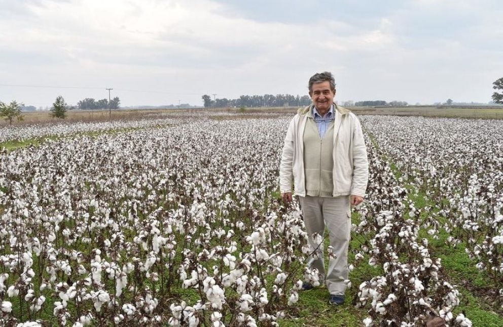Este domingo se realizará la Fiesta del Algodón Bonaerense 