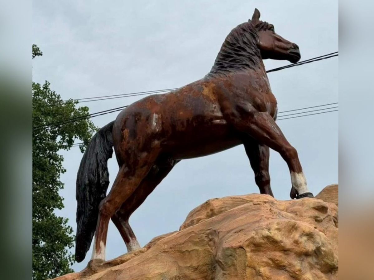 La concejal Marita Gelitti pide una solución para el monumento al caballo 