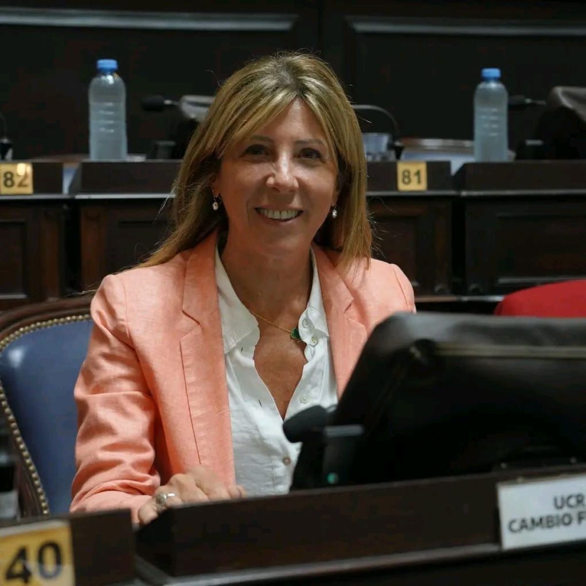 Diputada de Alberti propuso modificar la Ley de Tránsito para la compra de alcoholímetros 