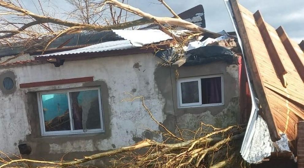 Serios destrozos en Olascoaga por un gran temporal: ¿fue un tornado?