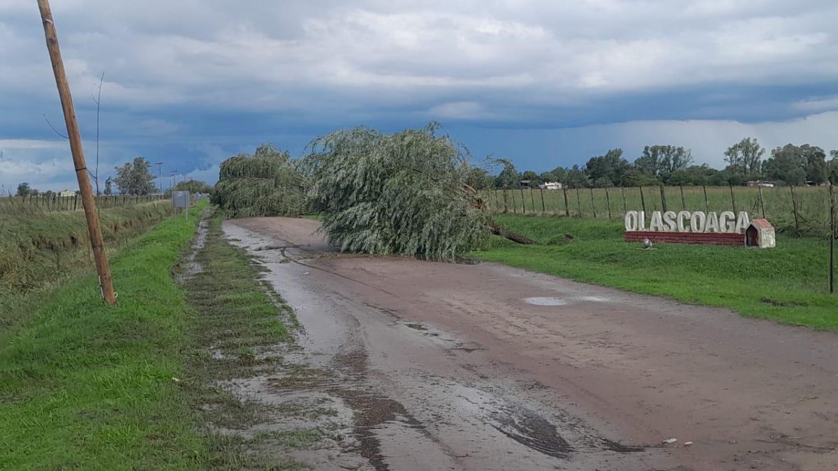 Informe de autoridades locales sobre los daños en Olascoaga
