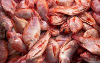 El precio del pescado en Semana Santa