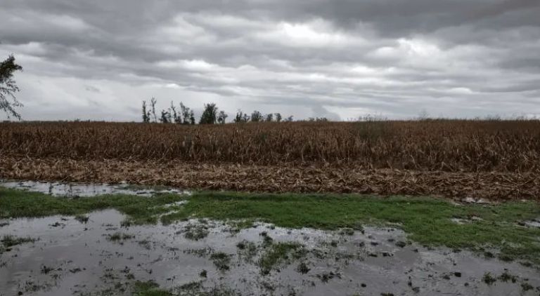 Convocan a productores agropecuarios afectados por el temporal