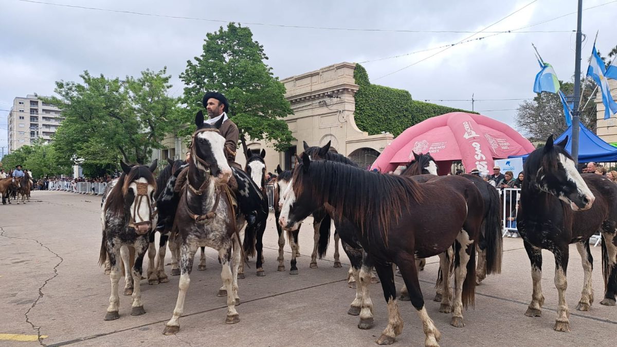 ¡Habemus fiesta! Comenzó el paseo criollo 