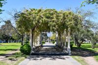 ¡Fin de semana a pura música y fiesta en Bragado!