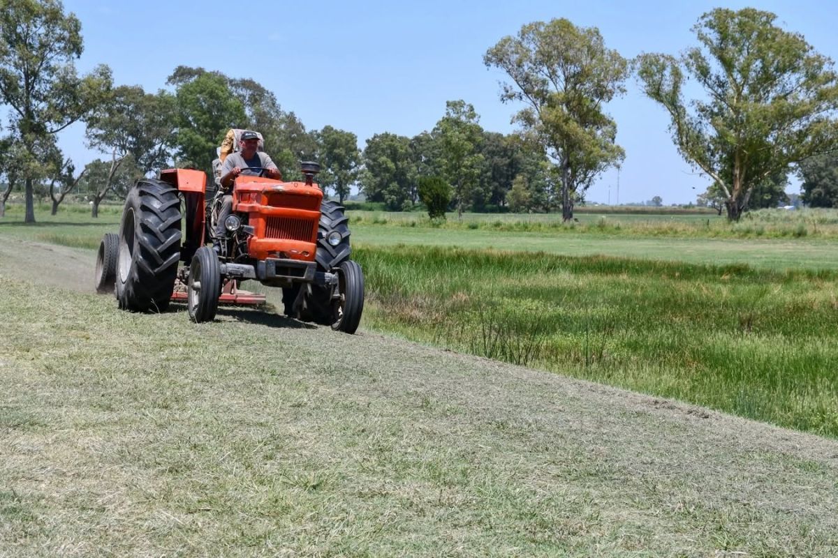 Mantenimiento permanente en plazas y espacios verdes de la ciudad