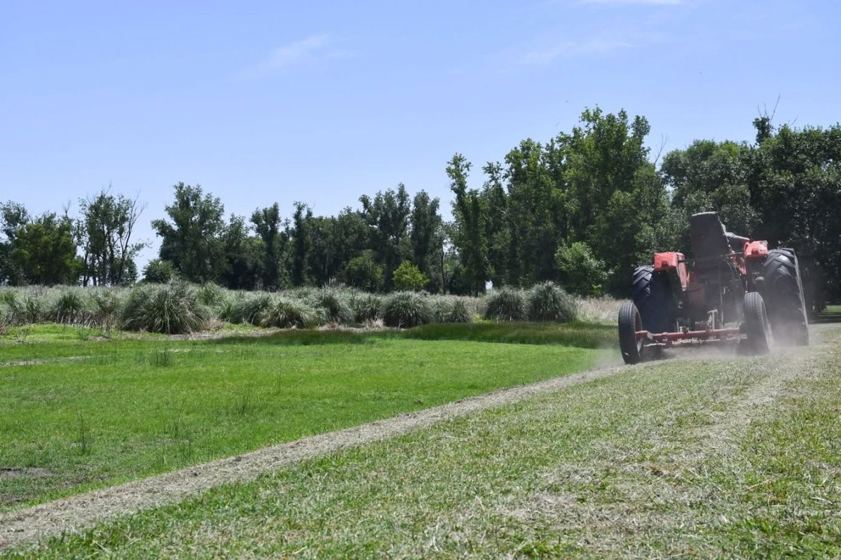 Mantenimiento permanente en plazas y espacios verdes de la ciudad
