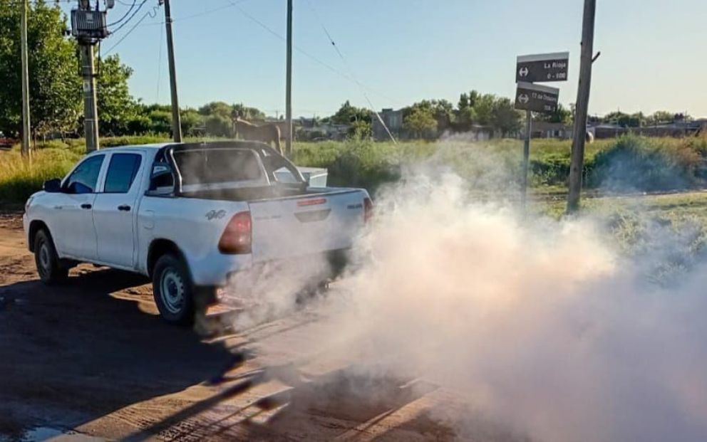 Continúan los trabajos de fumigación y mantenimiento del arbolado urbano