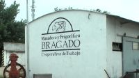 El Frigorífico Bragado incorpora la faena de cerdos y evita el cierre de la planta
