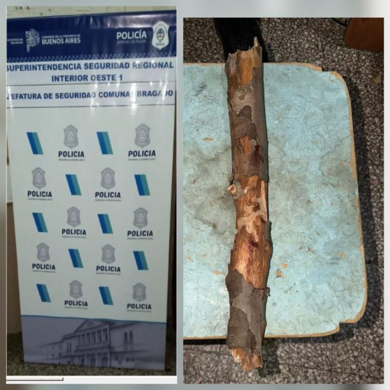 En pleno centro: un menor golpeó a un hombre con un palo y fue ...
