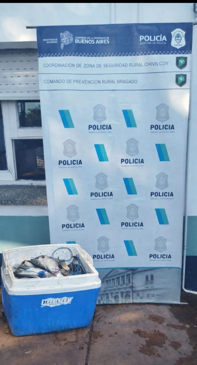 Controles rurales: infracciones por camiones en caminos recién reparados y pesca ilegal