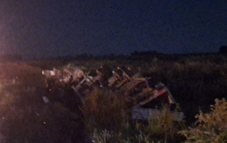 Trágico choque en Ruta 5: se conocieron detalles del accidente que dejó cuatro víctimas fatales