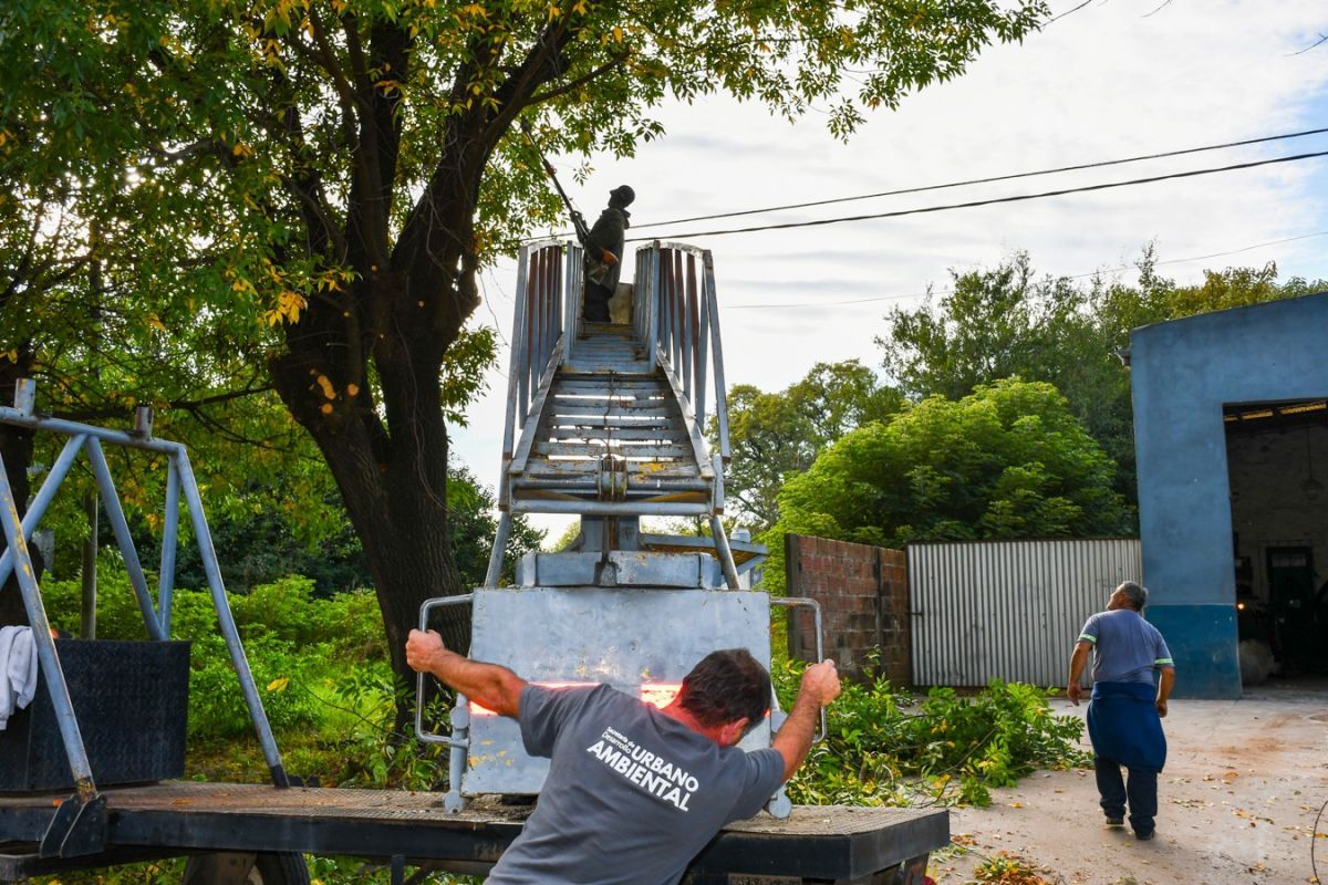 Nicolás Fernández anunció el inicio de la poda programada en la ciudad