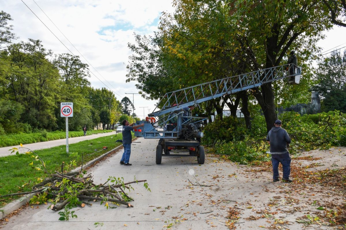Nicolás Fernández anunció el inicio de la poda programada en la ciudad