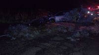 Impactante testimonio tras el siniestro en la Ruta 46: “El árbol estaba cruzado de banquina a banquina”