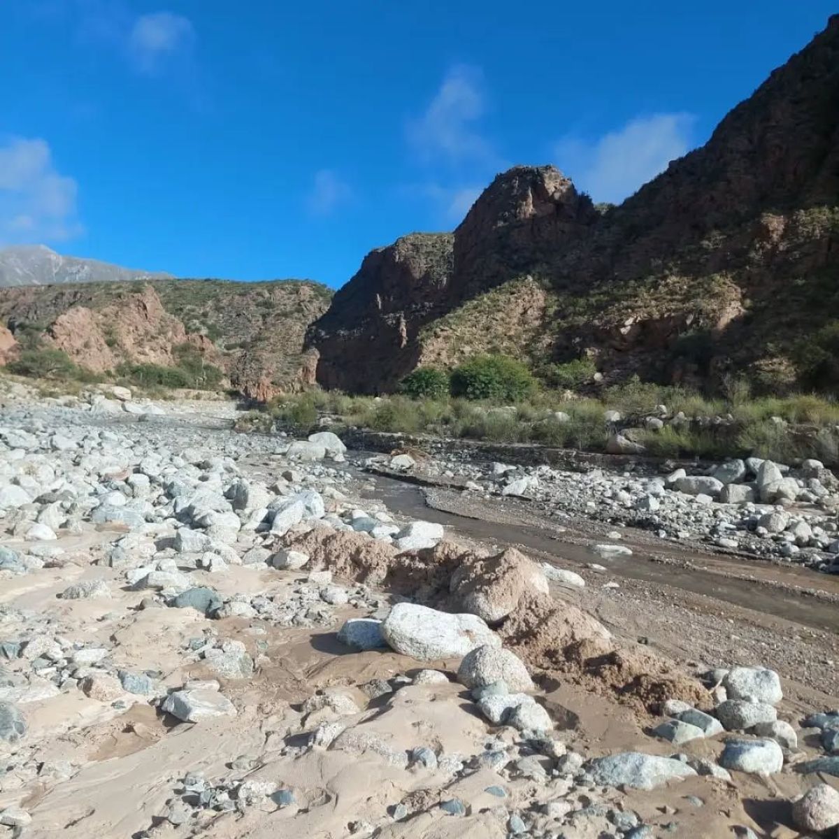 Corazón Solidario Bragado vivió una experiencia única en El Tolar
