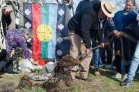 La bandera mapuche será izada en actos oficiales de Olascoaga