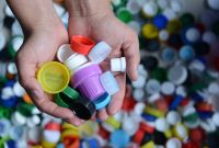 Rotary Club realizará una nueva colecta solidaria por el Día Mundial del Medio Ambiente