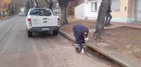 Nicolás Fernández destacó una jornada de trabajo junto al Ministerio de Salud
