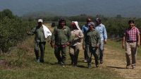 El RENATRE actualizó la prestación por desempleo para trabajadores rurales: el monto máximo alcanza los $395.000