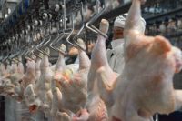 Crisis en la mesa argentina: ya se come más pollo que carne vacuna