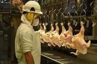 ¿CÓMO AFECTA EL PRECIO DE LA CARNE AL CONSUMO DE LOS VECINOS?
