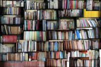 Feria del Libro Bragado: Les Cuevas presentará la tercera edición de “La Puta”