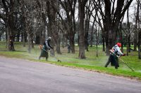 Avanzan las tareas de mantenimiento y puesta en valor de los espacios verdes de Bragado