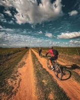 Entre caminos rurales, quesos y bicicletas: una pedaleada que unió Bragado con Los Toldos