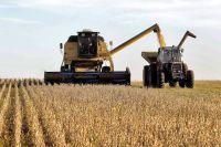 Fenómeno de El Niño: cuál es el pronóstico para la producción agropecuaria