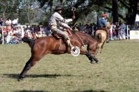 La 55ª Fiesta Nacional del Caballo tuvo una amplia convocatoria pese al mal tiempo