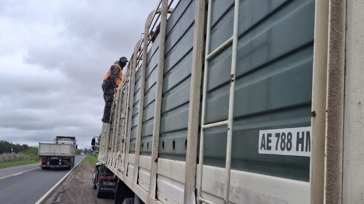 El CPR Bragado secuestró marihuana durante un control y halló una moto abandonada en la Ruta 46